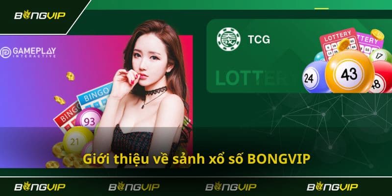 Bongvip - Nền tảng chơi xổ số trực tuyến, tỷ lệ ăn cực cao